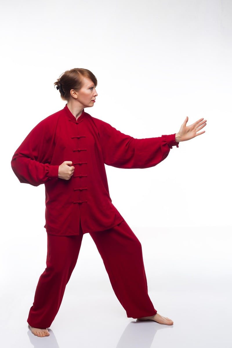 Chen Style Tai Chi Practice